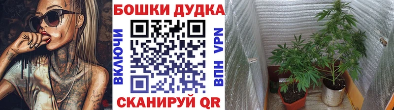 Купить закладку Канабис  А ПВП  ГАШИШ  КЕТАМИН  Меф  Дмитров