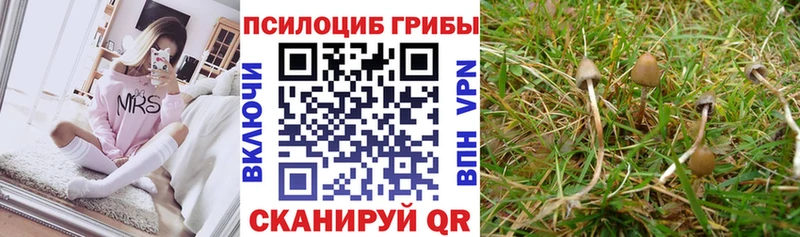 Галлюциногенные грибы прущие грибы  Купить закладки  Дмитров 