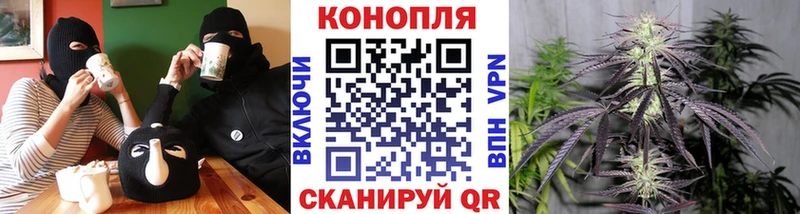 Шишки марихуана сатива Купить где Дмитров